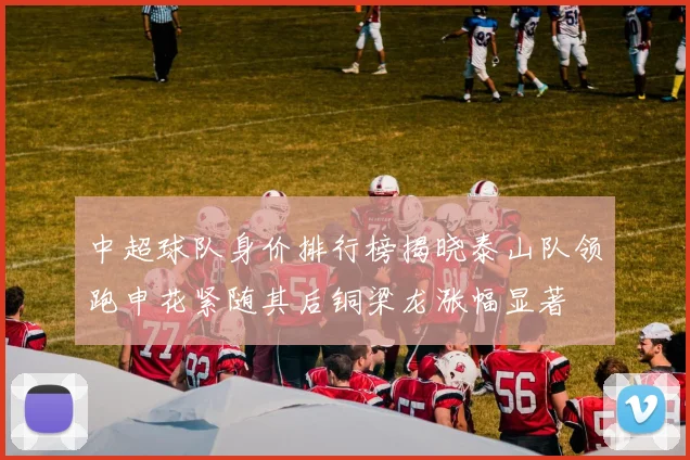 中超球队身价排行榜揭晓泰山队领跑申花紧随其后铜梁龙涨幅显著